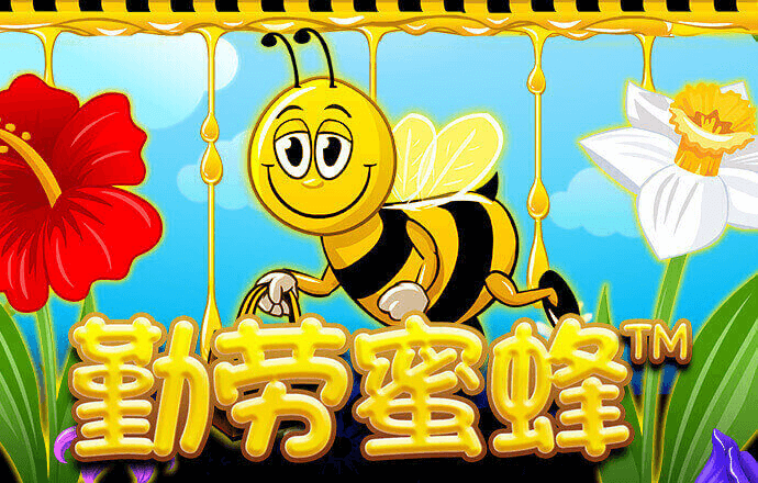 艾尚体育app下载官网安卓